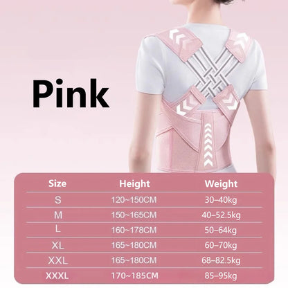 ProAlign Posture Correction Support Belt